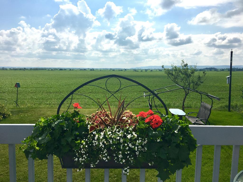 Bed and Breakfast Champ Soleil Metabetchouan Exteriér fotografie